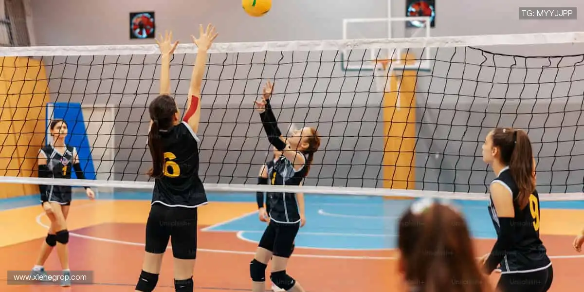 实时直播，身临其境！🎥