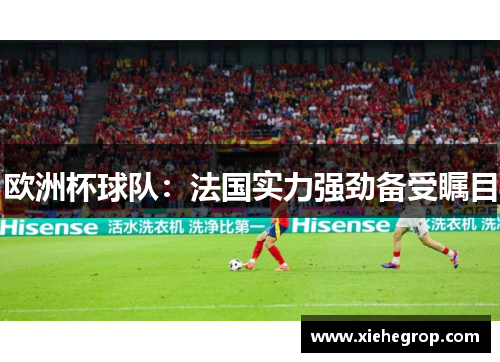 欧洲杯球队：法国实力强劲备受瞩目