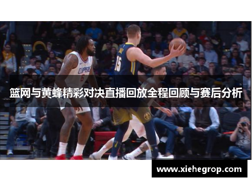 篮网与黄蜂精彩对决直播回放全程回顾与赛后分析