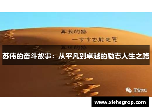 苏伟的奋斗故事：从平凡到卓越的励志人生之路