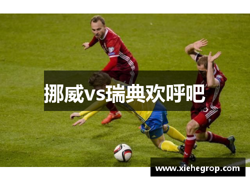挪威vs瑞典欢呼吧