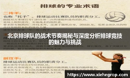 北京排球队的战术节奏揭秘与深度分析排球竞技的魅力与挑战